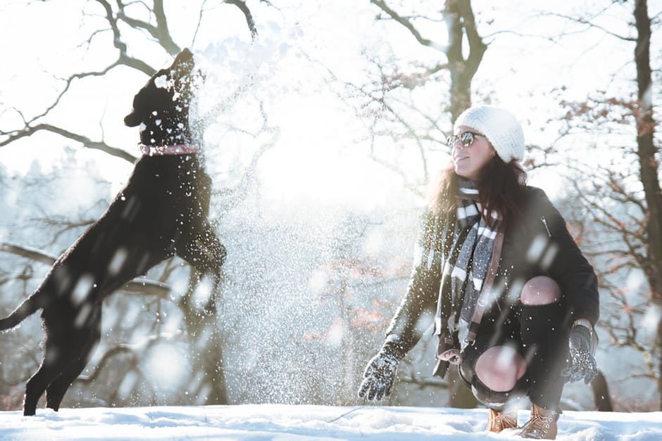 playing with dog