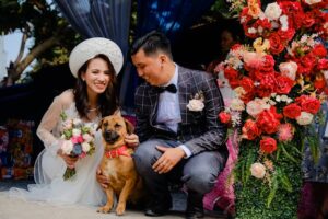 Pet-Friendly Reception